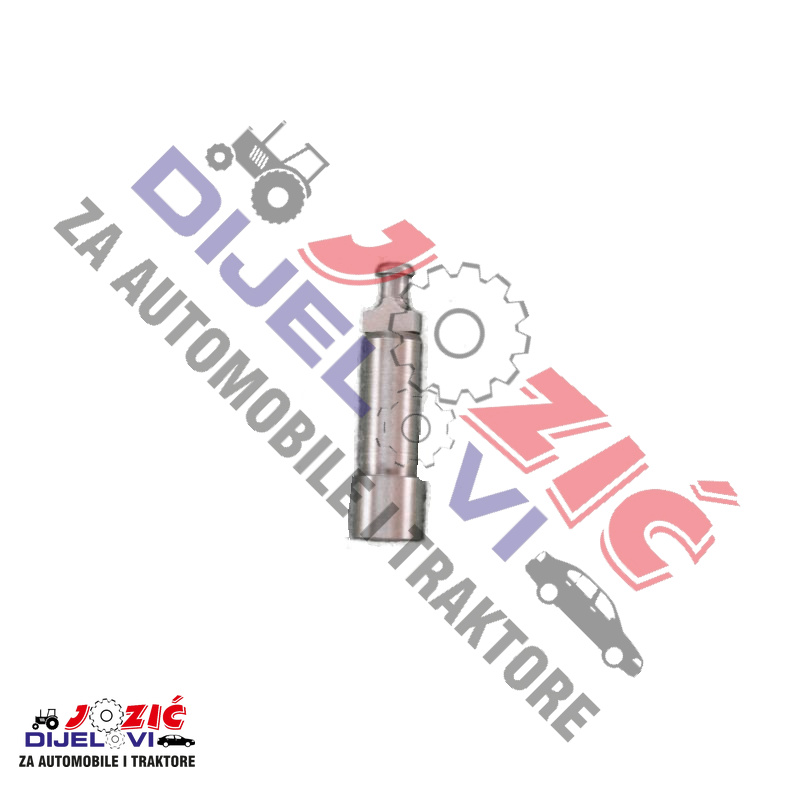 Daisy on the Ohoopee